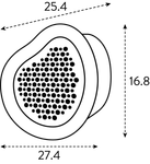 organic bee hotel 25cm chestnut brown